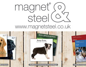 Magnet & Steel 