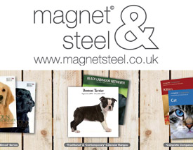 Magnet & Steel